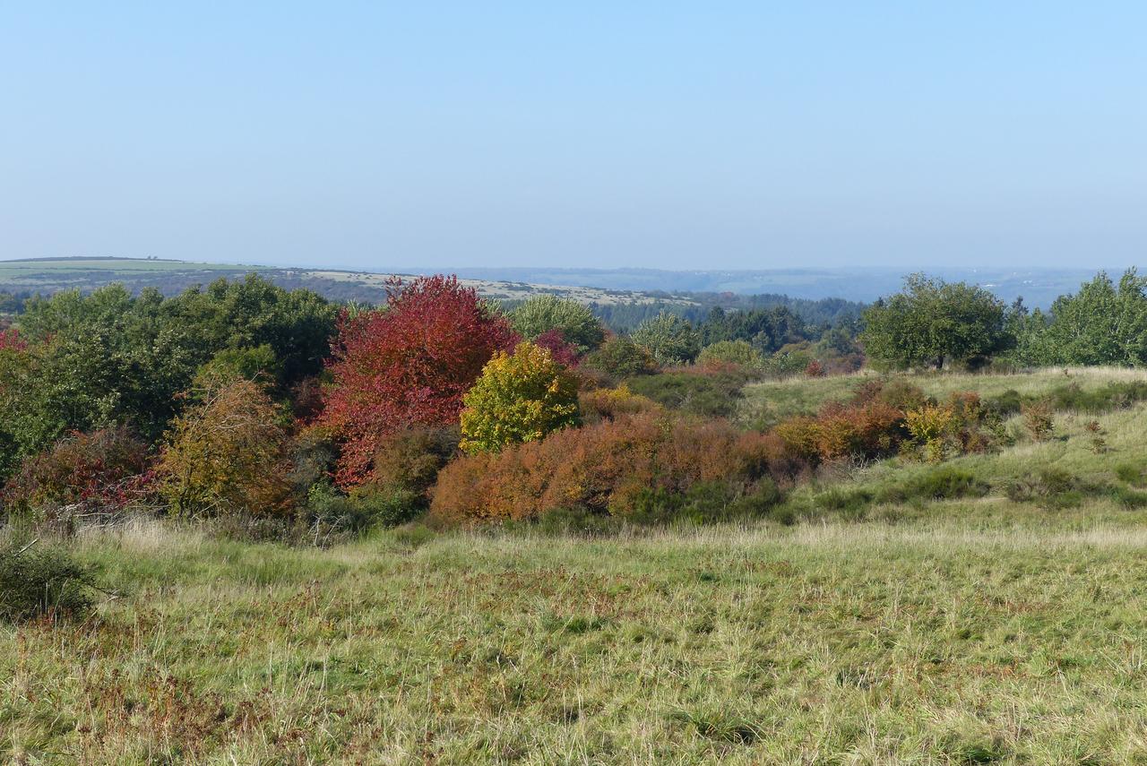 Chalets Am National Park Eifel Schleiden Zewnętrze zdjęcie