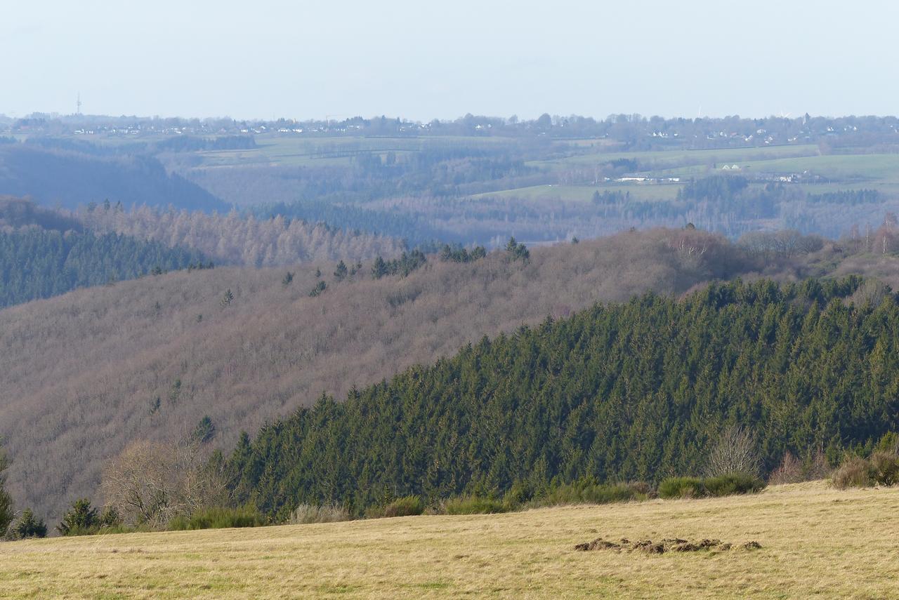 Chalets Am National Park Eifel Schleiden Zewnętrze zdjęcie